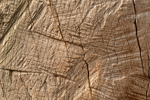 natural old wood texture background with the cracks
