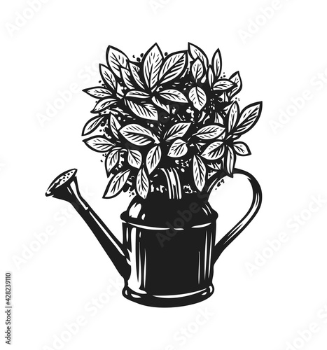Bouquet of flowers in a watering can. Gardening symbol vector Illustration