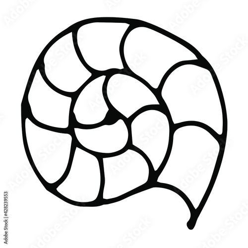 Hand drawn vector shell illustration. Isolated objects on white.