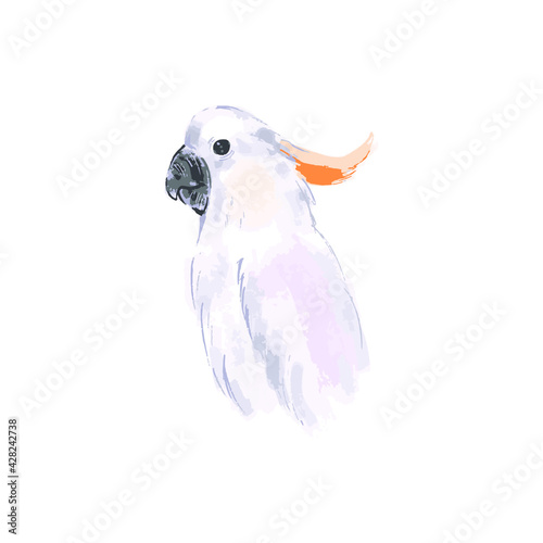 Colorful cockatoo parrot isolated on white. Vector hand drawn illustration 