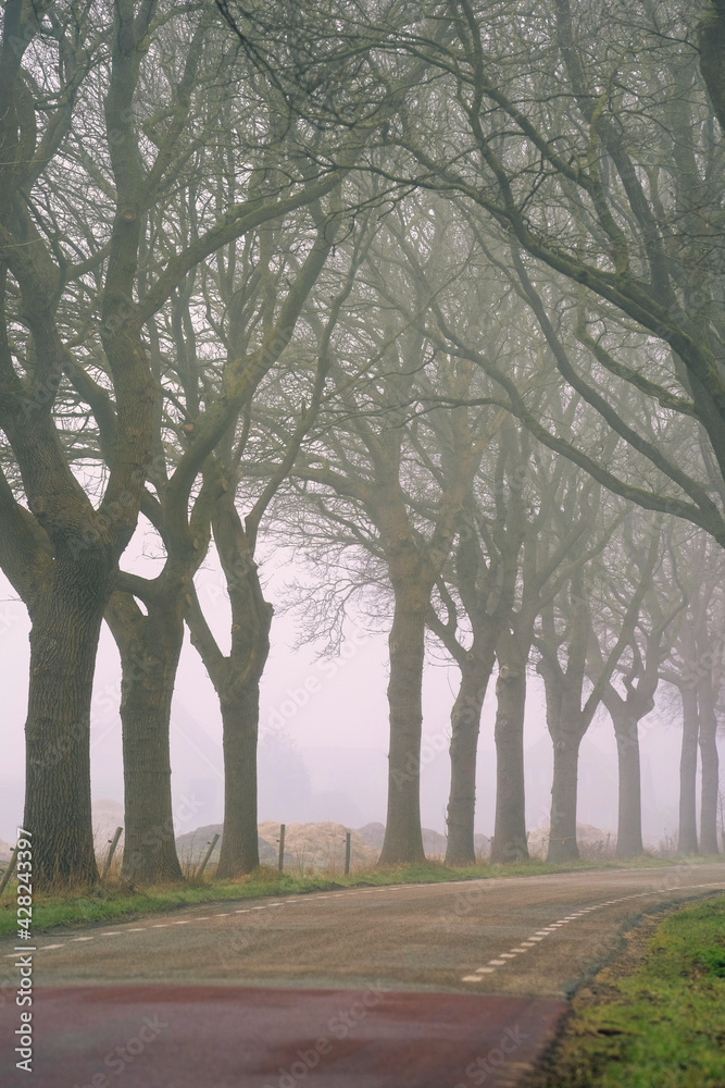 Beautiful winding country road caught in the fog in the spring. Trees along the road and mounds of grass on the pasture in the background Beautiful winding country road caught in the fog in the spring. Trees along the road and mounds of grass on the pasture in the background