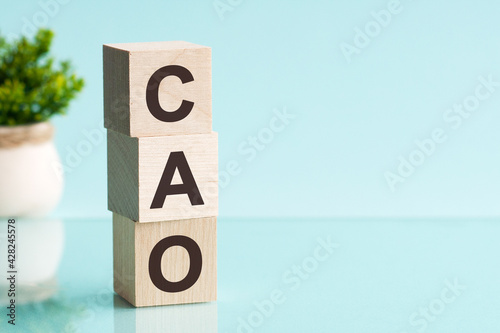 three wooden cubes with letters cao - short for chief accounting officer, concept photo