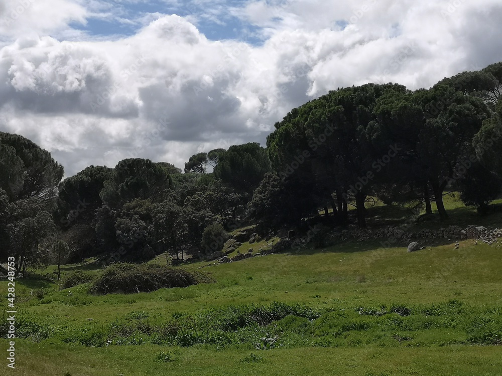 Cloudy sunny day in the mountains with trees and meadow Cloudy sunny day in the mountains with trees and meadow