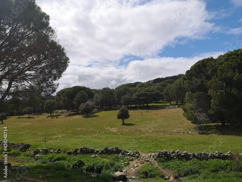 Cloudy sunny day in the mountains with trees and meadow
