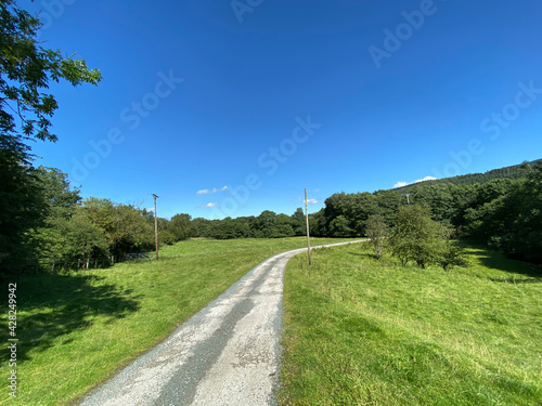 Country path, leading to Crookrise Forest, on a hot summers day near, Skipton, Yorkshire, UK © derek oldfield