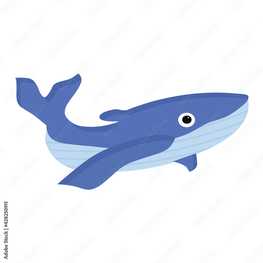 Isolated image of a blue whale on a white background