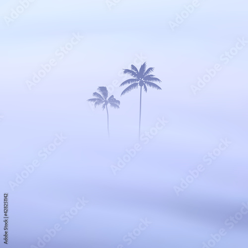 Palm trees. Foggy clouds. Fog waves. Morning mist. Natural landscape
