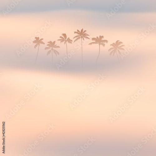 Palm trees. Foggy clouds. Fog waves. Morning mist. Natural landscape