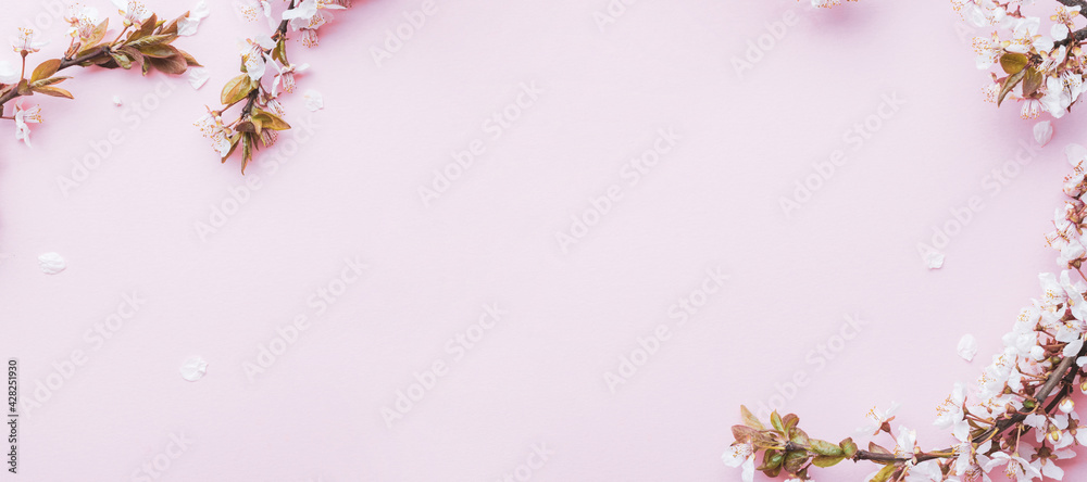 Obraz premium Spring background may flowers and April floral nature on pink background. Branches of blossoming apricot macro with soft focus. For easter and spring greeting cards with copy space. Springtime.