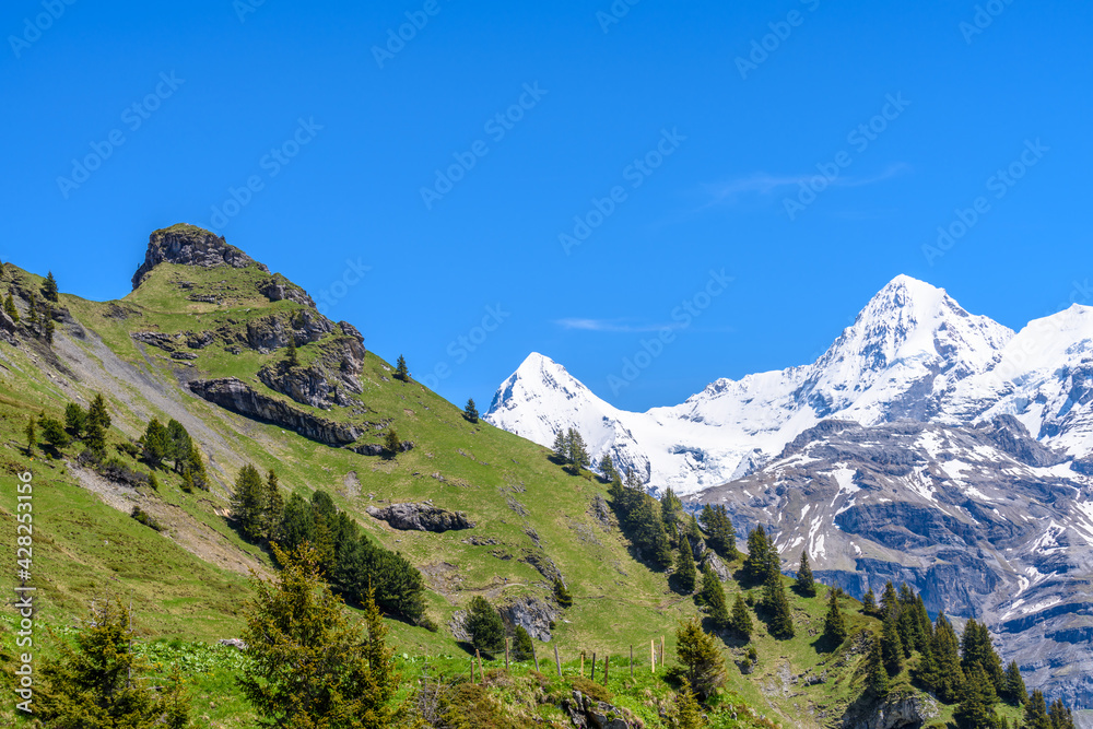 The Swiss Alps at Murren, Switzerland. Jungfrau Region. The valley of Lauterbrunnen from Interlaken.