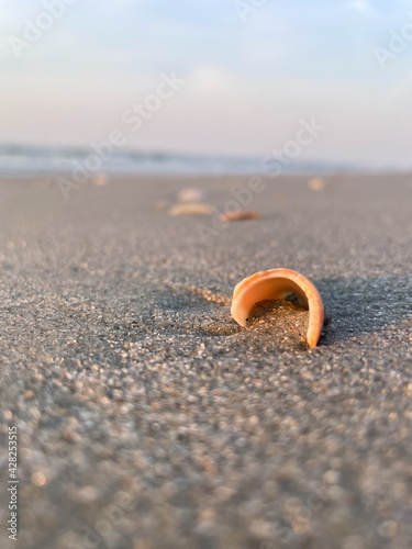 Shell spitting sand