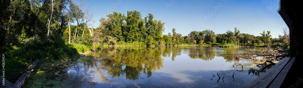 landscape scene with a lake and trees reflected in it. Lobau, Marhegg, Austria
