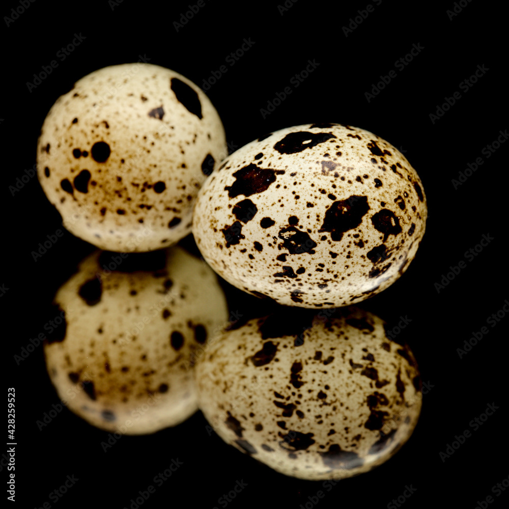 Quail eggs on a mirror, isolated on black background Quail eggs on a mirror, isolated on black background