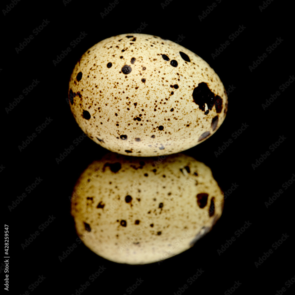Quail eggs on a mirror,  isolated on black background