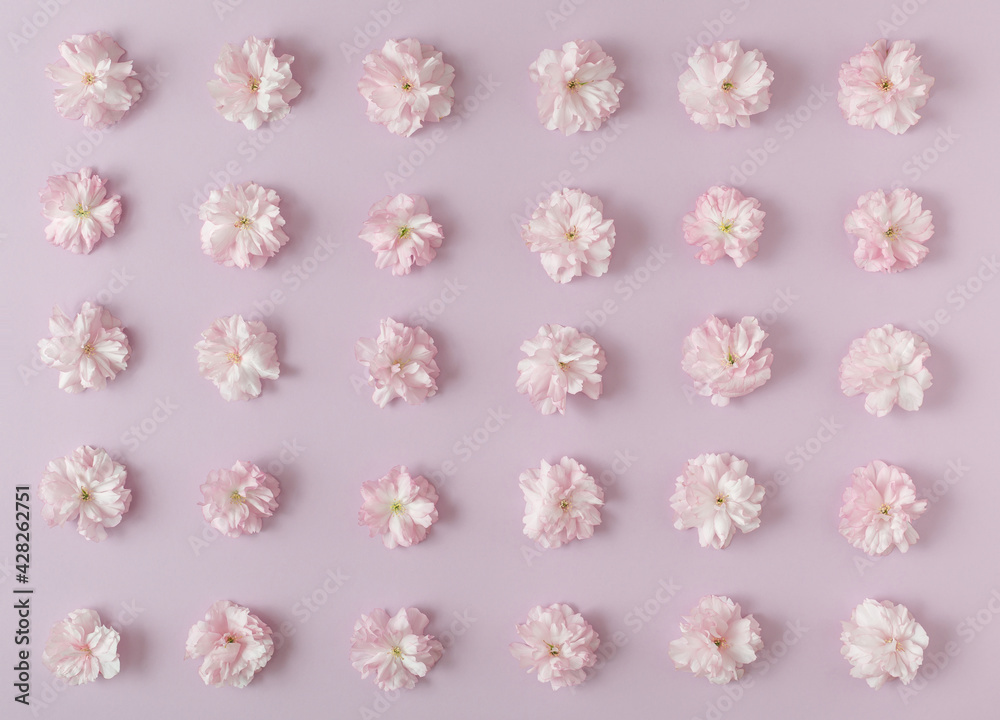 Pink flower pattern on pink pastel background. Minimal spring concept. Flat lay composition. Nature love concept. Pink flower pattern on pink pastel background. Minimal spring concept. Flat lay composition. Nature love concept.