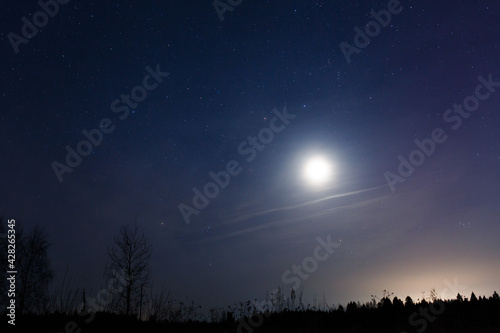 Starry sky and moon over the field. Starry night over the forest. © vov8000