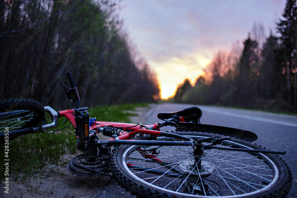 Obraz premium The bike lies on the roadway of the asphalt road in the lem