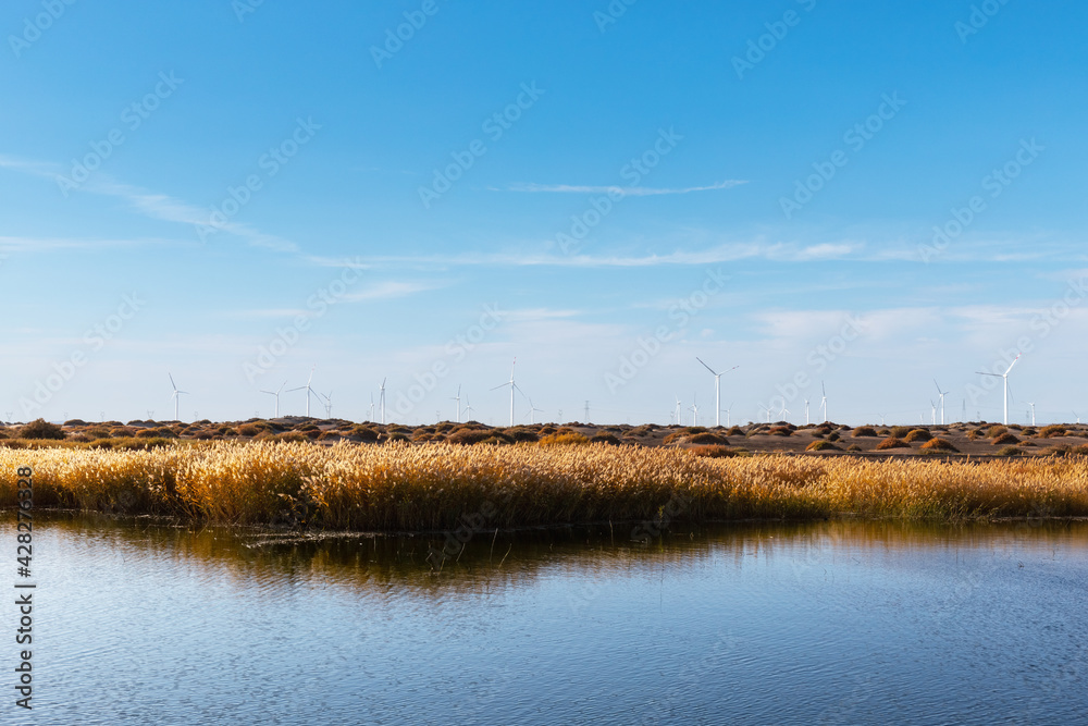 wind farm by the lake in autumn wind farm by the lake in autumn