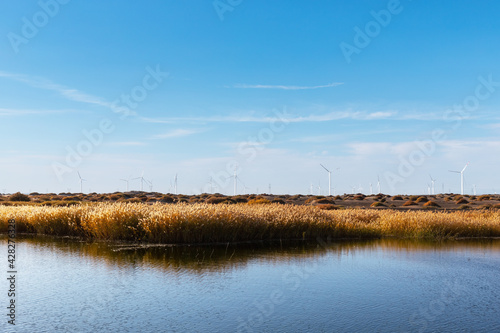 wind farm by the lake in autumn