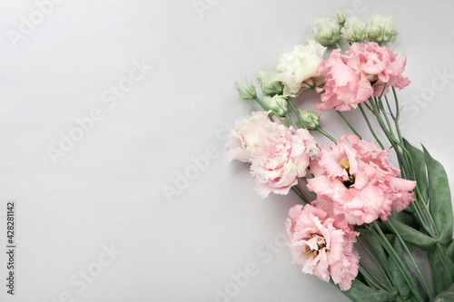 White and pink eustoma flowers, flatlay on grey background