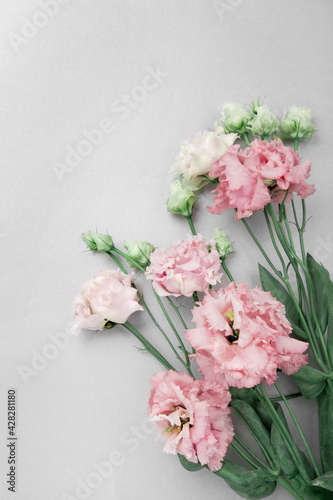 White and pink eustoma flowers, flatlay on grey background