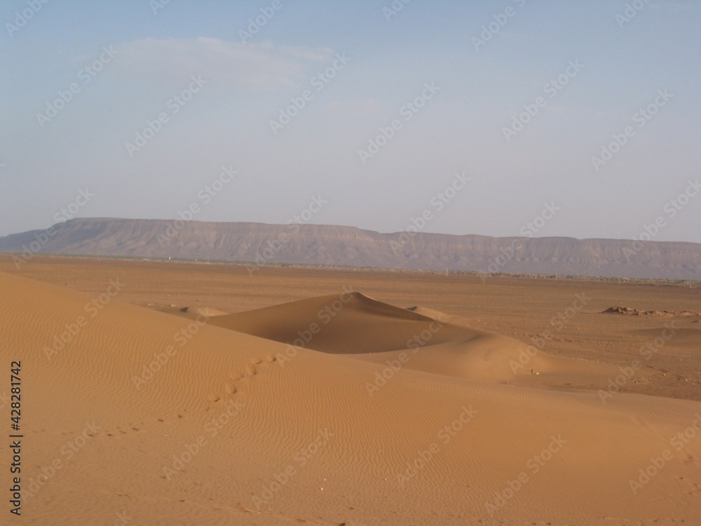 beautiful view of  desert in Morocco design for travel and adventure concept