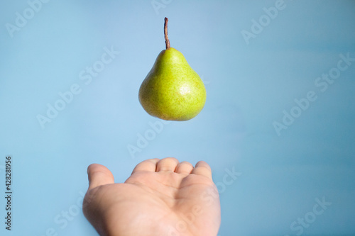 pear photo