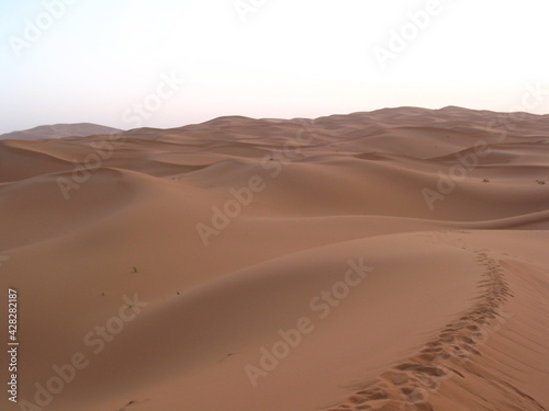 beautiful view of  desert in Morocco design for travel and adventure concept
