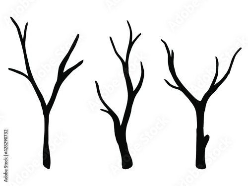 
Vector set of dry tree branches. Isolated botanical objects on a white background. Black branch silhouette, simple doodle illustration