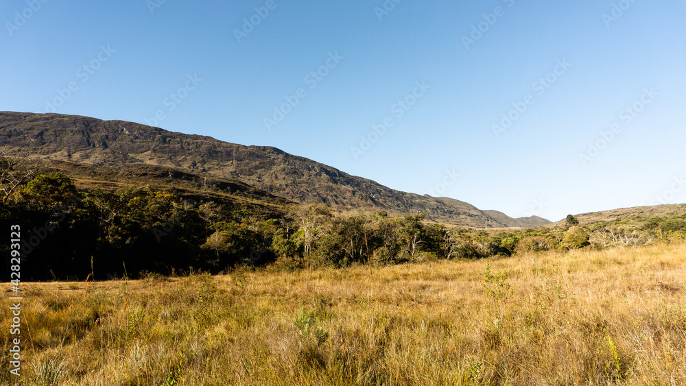 Montanhas na Floresta Uaimii - Acuruí, Minas Gerais Montanhas na Floresta Uaimii - Acuruí, Minas Gerais