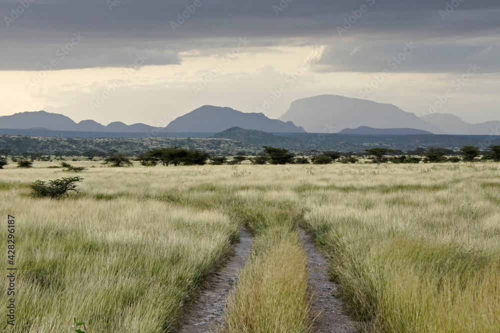 Mount Lolokwe and landscape of the Buffalo Springs and Samburu Game Reserves under cloudy skies, Kenya