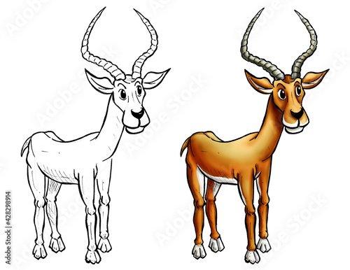 Antelope cartoon color and line
