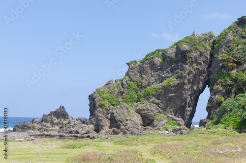 Female Rock Miifugaa in Kume Island, Okinawa, Japan photo