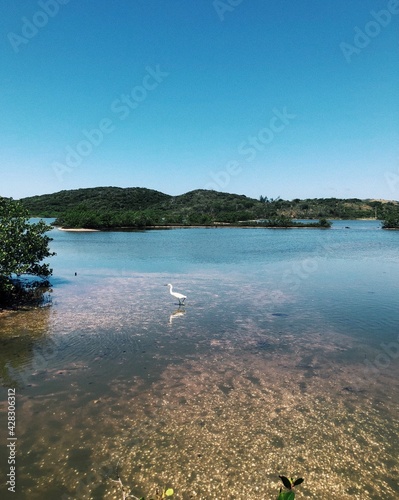 lake and mountains