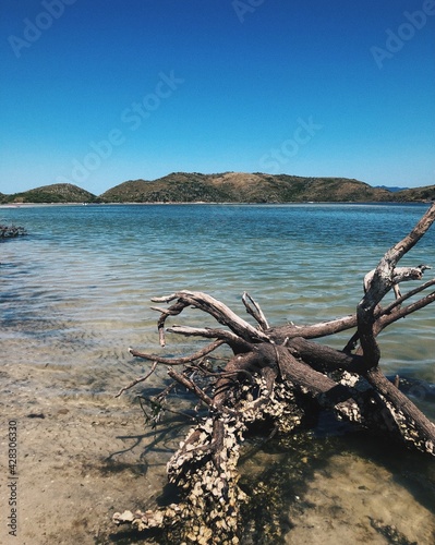 boat on the beach