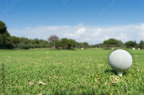 Golf ball on green natural grass