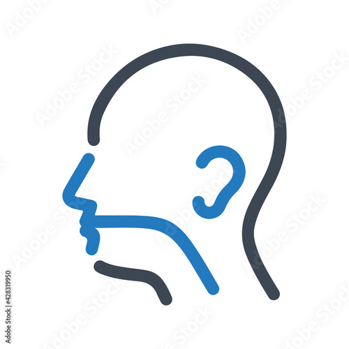 Otolaryngology icon, vector & glyph