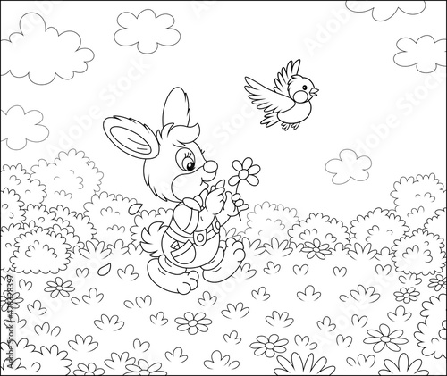 Little enamored bunny guessing on a daisy and walking on grass of a pretty summer field with flowers on a beautiful warm day, black and white outline vector cartoon for a coloring book page