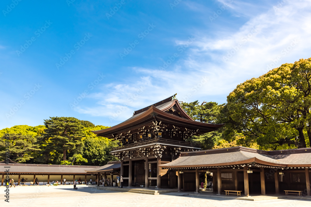 Fototapeta premium (東京都ｰ都市風景)青空の明治神宮南神門風景３
