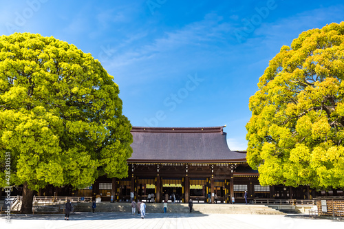 (東京都ｰ都市風景)青空の下の明治神宮１