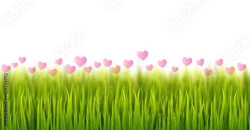 Grass with pink heart shaped flowers on white background. Vector illustration.