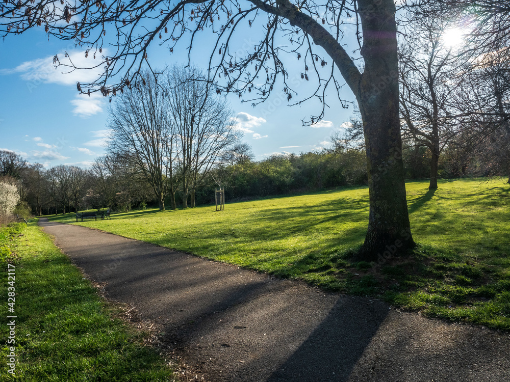 local park