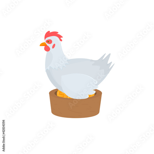 Laying hen. Chicken lays golden eggs, vector illustration