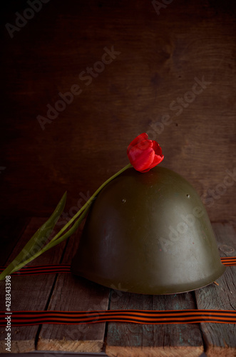 The red tulip flower rests on a soldier's helmet. The pine background