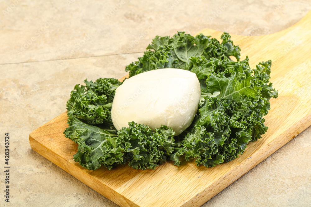 Soft mozzarella cheese over board Soft mozzarella cheese over board