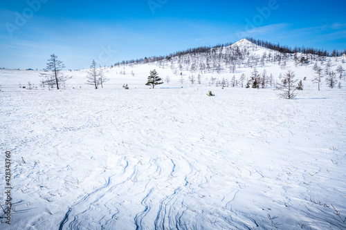 Endless snows of the Tazheran steppe