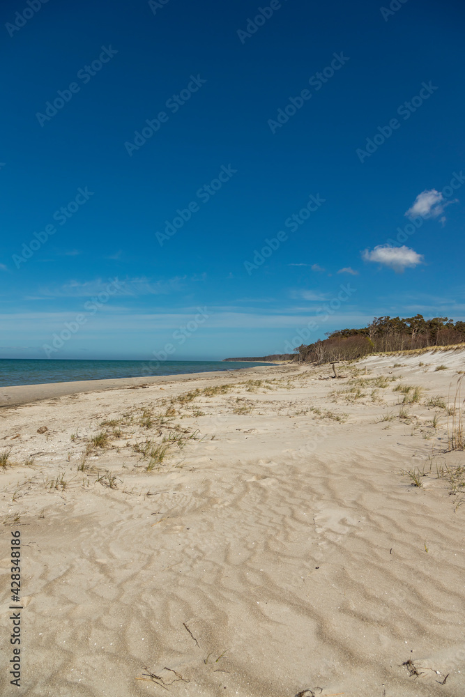 Baltic Sea Day At The Beach