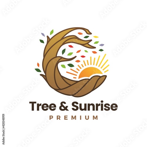 tree root and sunrise logo vector icon illustration