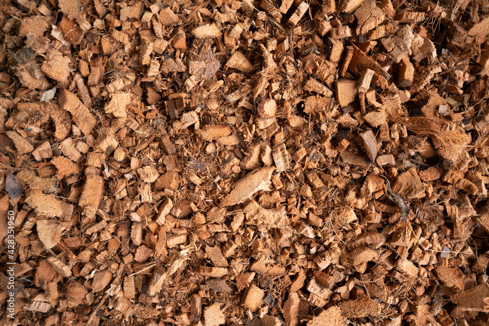 Coconut coir, Dry coconut residue for planting trees, Nature background and texture , Top view, Fiber for growing plant, Soil. Coconut coir, Dry coconut residue for planting trees, Nature background and texture , Top view, Fiber for growing plant, Soil.