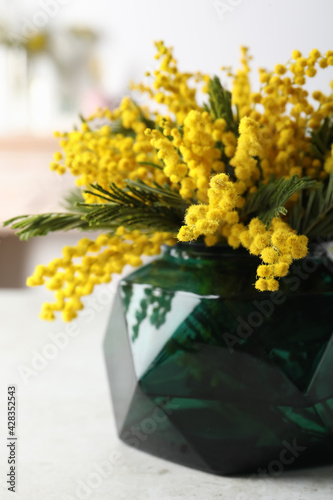 Beautiful mimosa flowers on white table indoors, closeup
